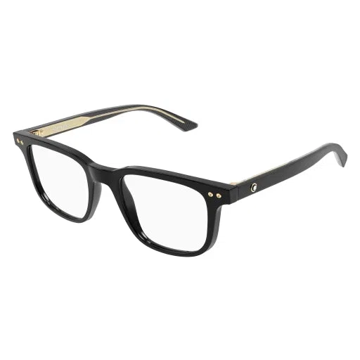 Montblanc MB0256O Eyeglasses - view 7